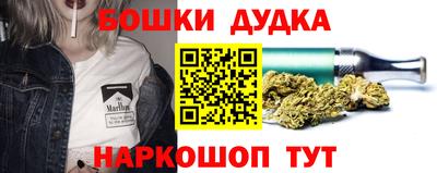 индика Кулебаки